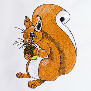 Cyril the Squirrel