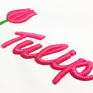 How to Digitize for 3D Puffy Foam Machine Embroidery